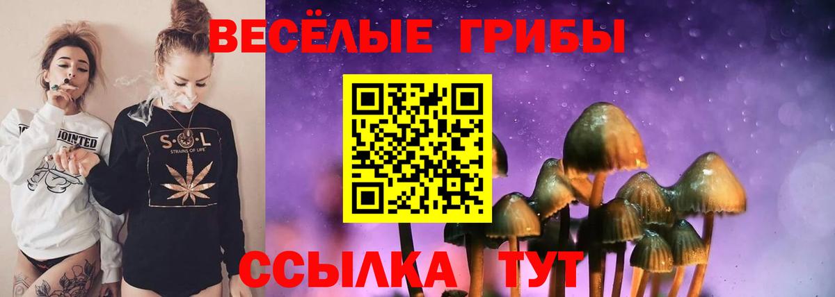 Мценск  купить наркотики цена  Вход с VPN  Галлюциногенные грибы Psilocybe 