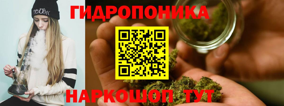 Шишки марихуана ГИДРОПОН  Вход с VPN  Мценск  Бошки марихуана тримм  Конопля тримм 